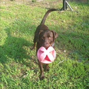 Meet your Posher, Jejessica